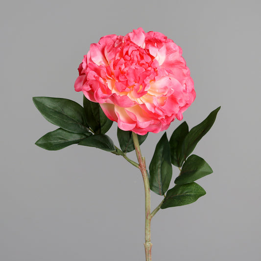 Fleur artificielle Pivoine Fuchsia - composition florale - H.63 cm - P3