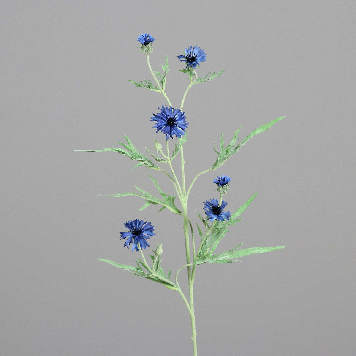 Fleur artificielle bleuet 6 fleurs - composition bouquet - H.91cm bleu-S3
