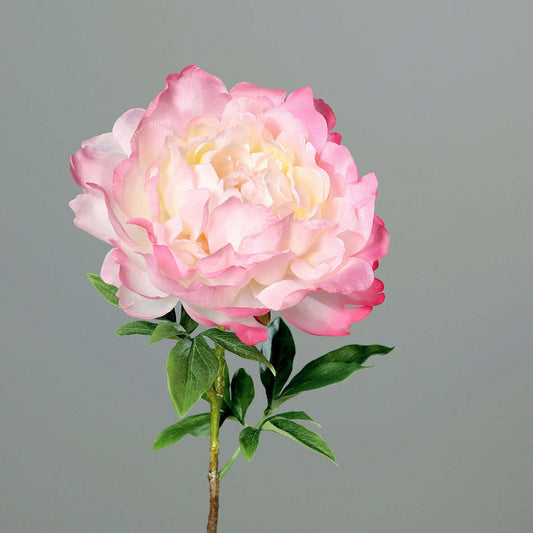 Fleur artificielle Pivoine rose - composition florale - H.58 cm-Q3