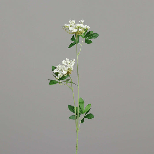 Fleur artificielle d'Aneth 2 têtes fleurie -  70 cm - couleur crème Q3