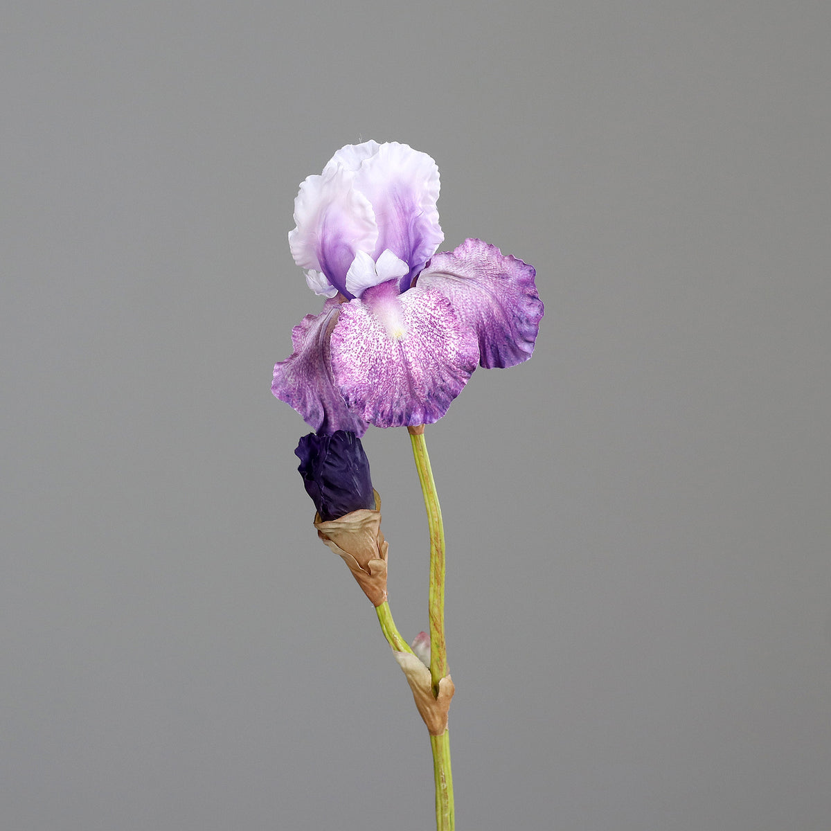 Fleur artificielle Iris artificiel pourpre nuancé - composition bouquet - H.80 cm - 1 fleur et 1 bouton - MAG