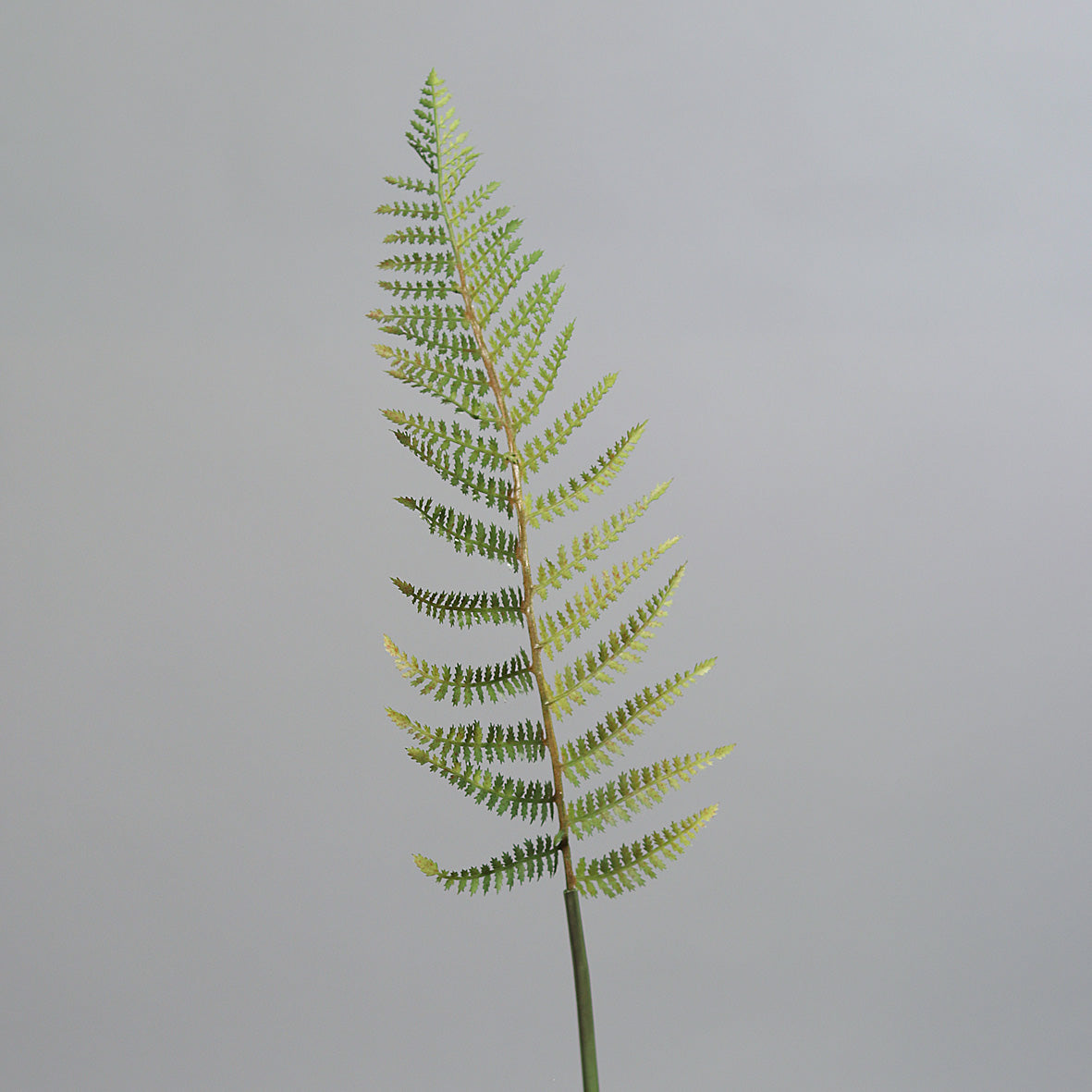 Branche de fougère artificielle géante - H.149 cm – verte - S3