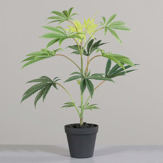 Plante artificielle Cannabis sativa en pot - plante d'intérieur - H.55cm vert - Z3