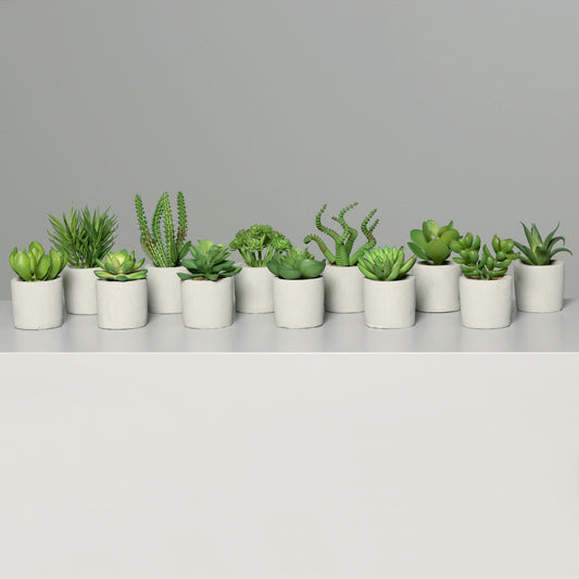 Assortiment de 12 succulentes artificielles en pot béton crème/gris – H.de 9 à 15 cm - Q3