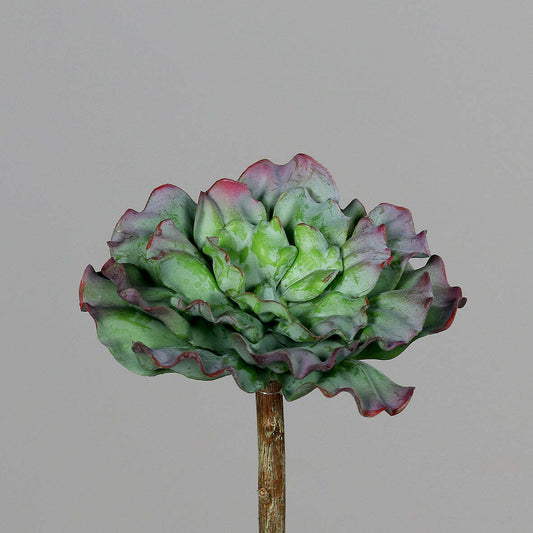 Plante artificielle Succulente - Plante grasse d'intérieur - H.16cm - Q2