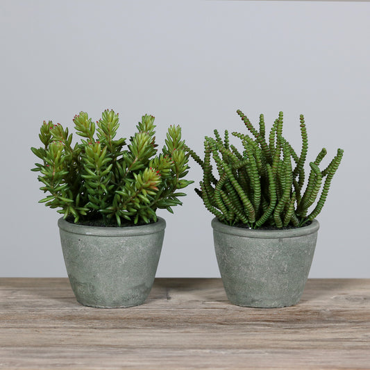 Assortiment de 2 succulentes artificielles en pot céramique effet béton – H.20 cm - Q3