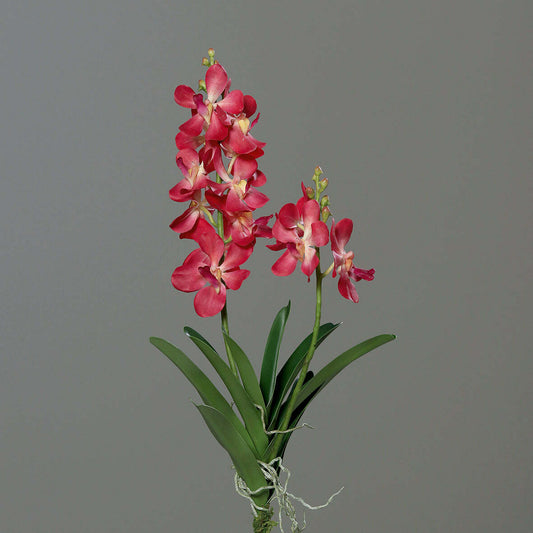 Fleur artificielle Orchidée Vanda feuillage et racines H.63cm rose vif R2