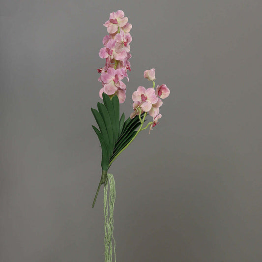Fleur artificielle Orchidée Vanda feuillage et racines H.80cm blanc-rose - Z3