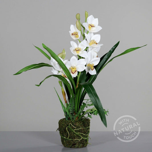 Orchidée artificielle cymbidium en motte - Feuillage intérieur - H.62cm blanc S3