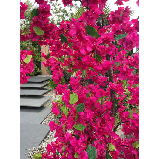 1/2 Arche de Bougainvillier artificiel « Lilas des Indes » – 300 cm – Fuchsia / Pourpre