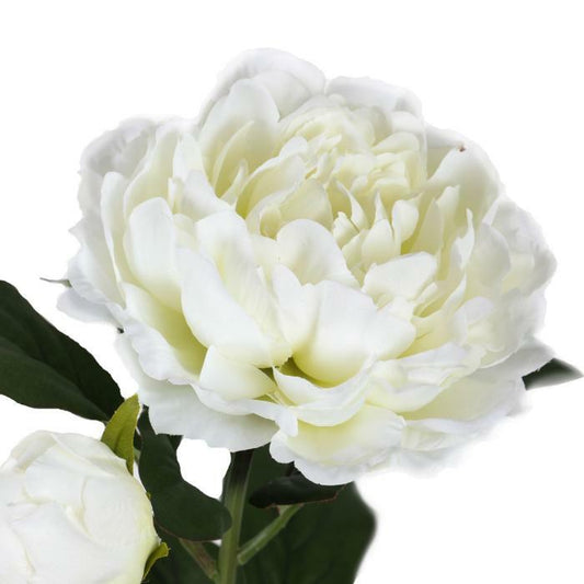 Fleur artificielle Pivoine blanche - composition florale - H.76cm Q2