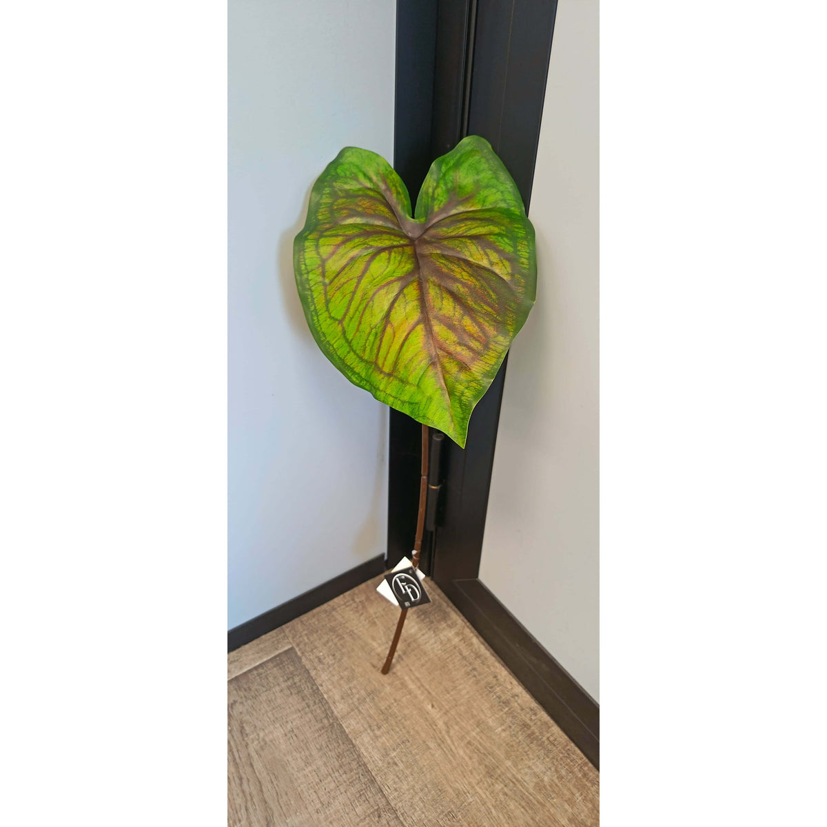 Feuille artificielle de Caladium Polyfoam - décoration d'intérieur - H.60cm - Vert foncé et marron panaché - P3