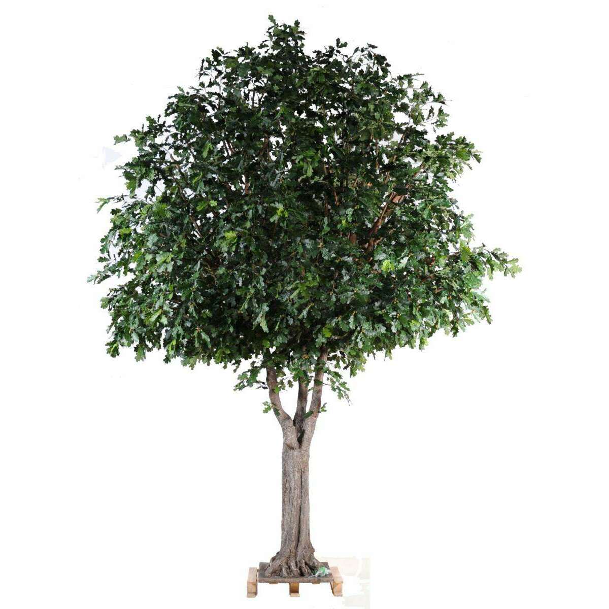 Arbre artificiel forestier Chêne - plante d'intérieur - H.350cm feuillage vert