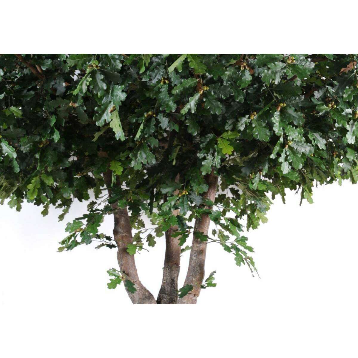Arbre artificiel forestier Chêne - plante d'intérieur - H.350cm feuillage vert
