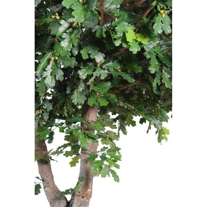 Arbre artificiel forestier Chêne - plante d'intérieur - H.350cm feuillage vert