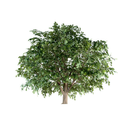 Arbre artificiel forestier Chêne tête - intérieur - 400cm
