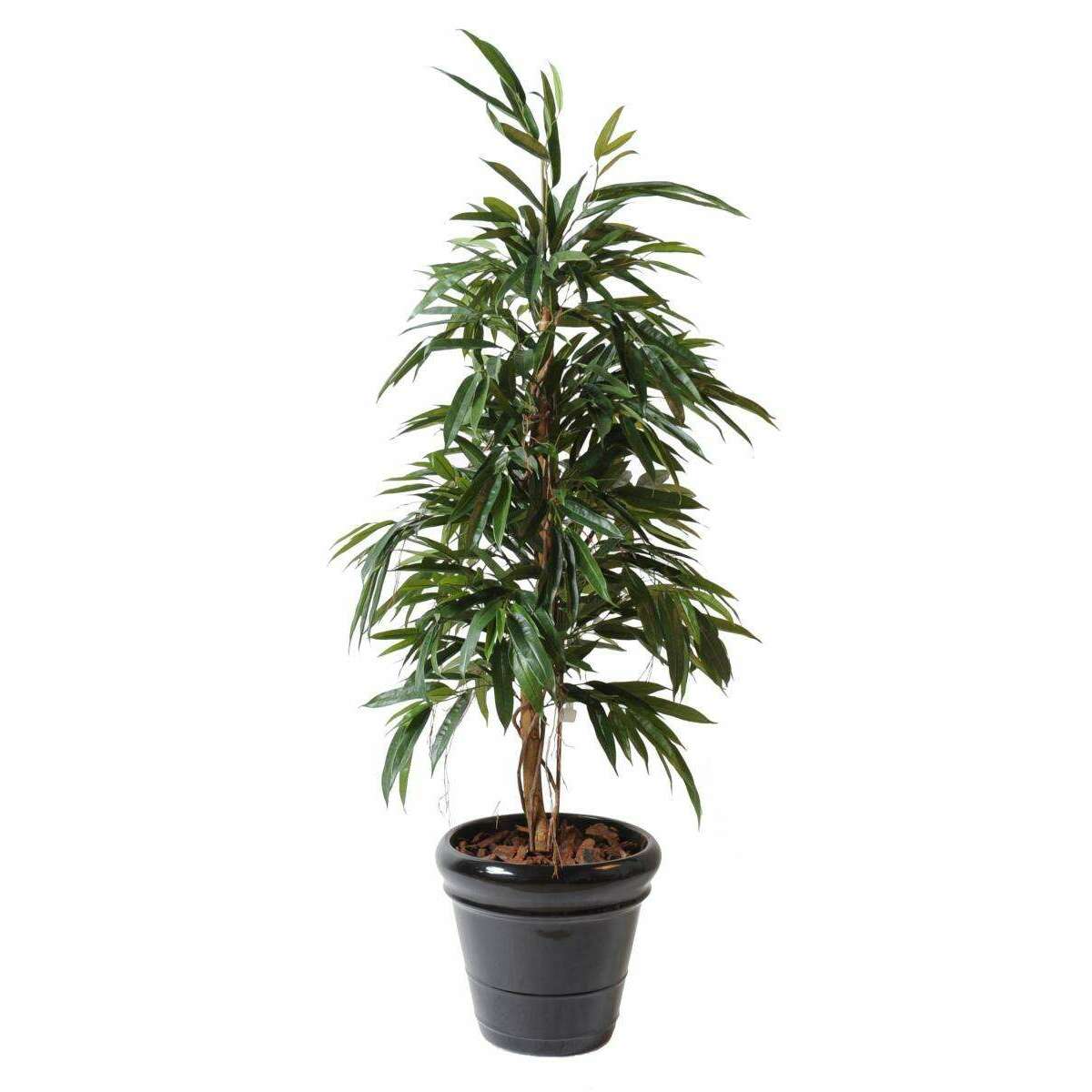 Arbre artificiel luxe Ficus alii - plante d'intérieur - H.160cm vert SHOW