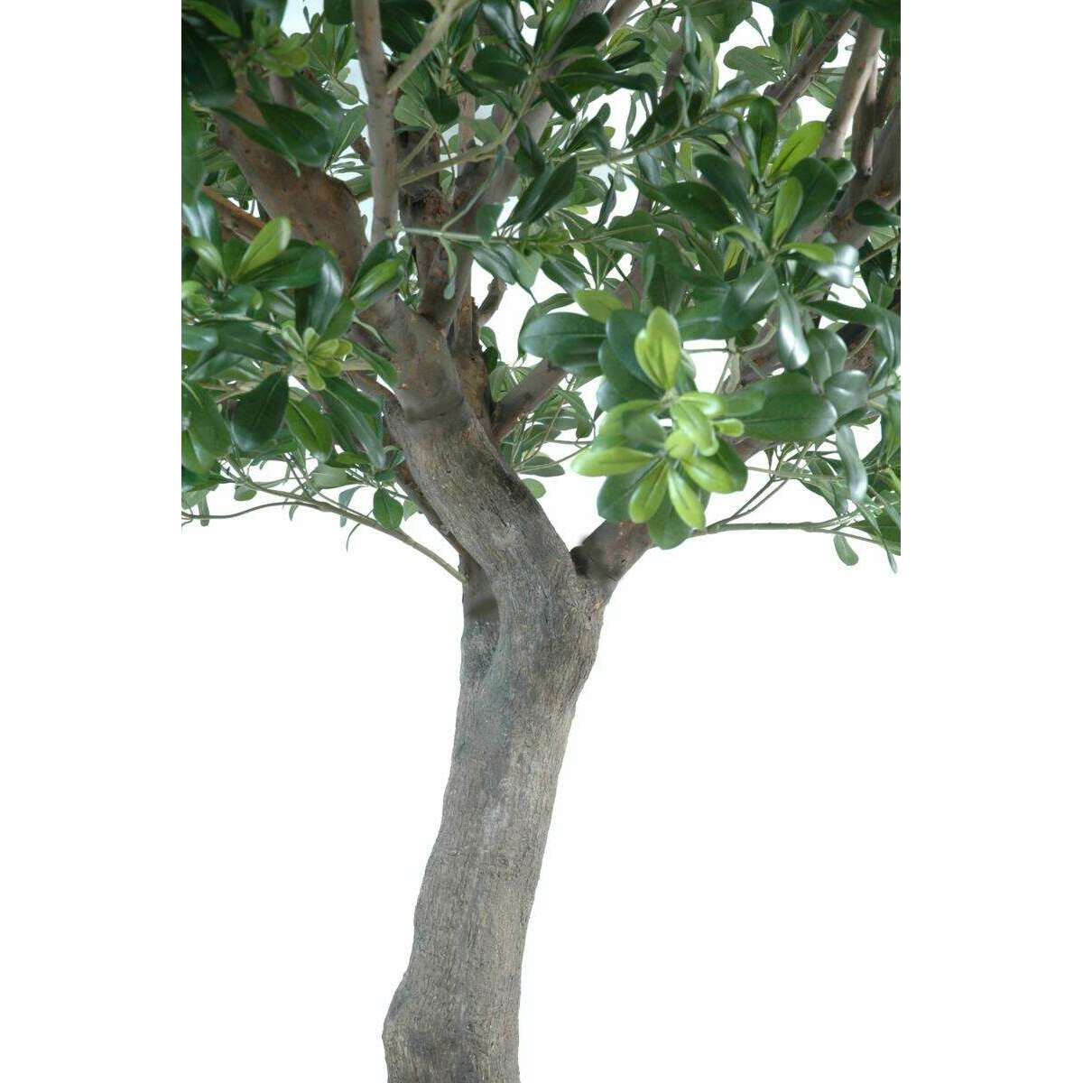 Arbre artificiel Pittosporum - plante décoration d'intérieur - H.260cm