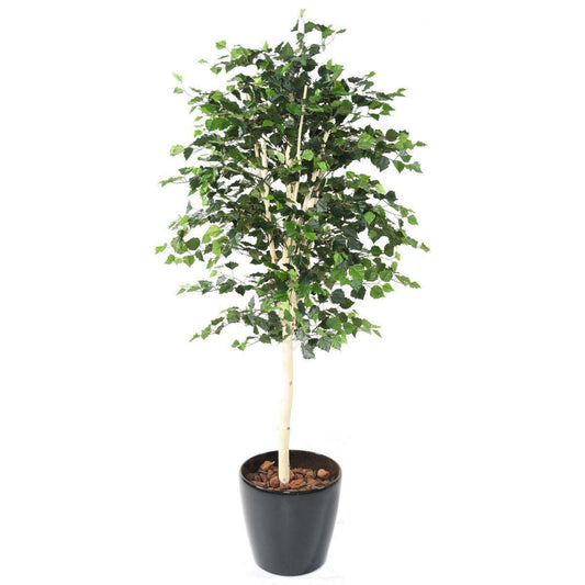 Arbre forestier artificiel Bouleau TS - décoration d'intérieur - H.210cm