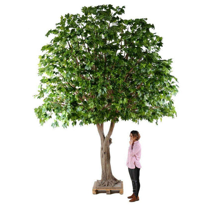 Arbre forestier artificiel Platane - décoration pour intérieur - H.490cm - P