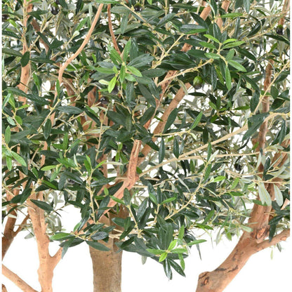 Arbre fruitier artificiel Olivier L sur platine - plante pour intérieur - H.370cm