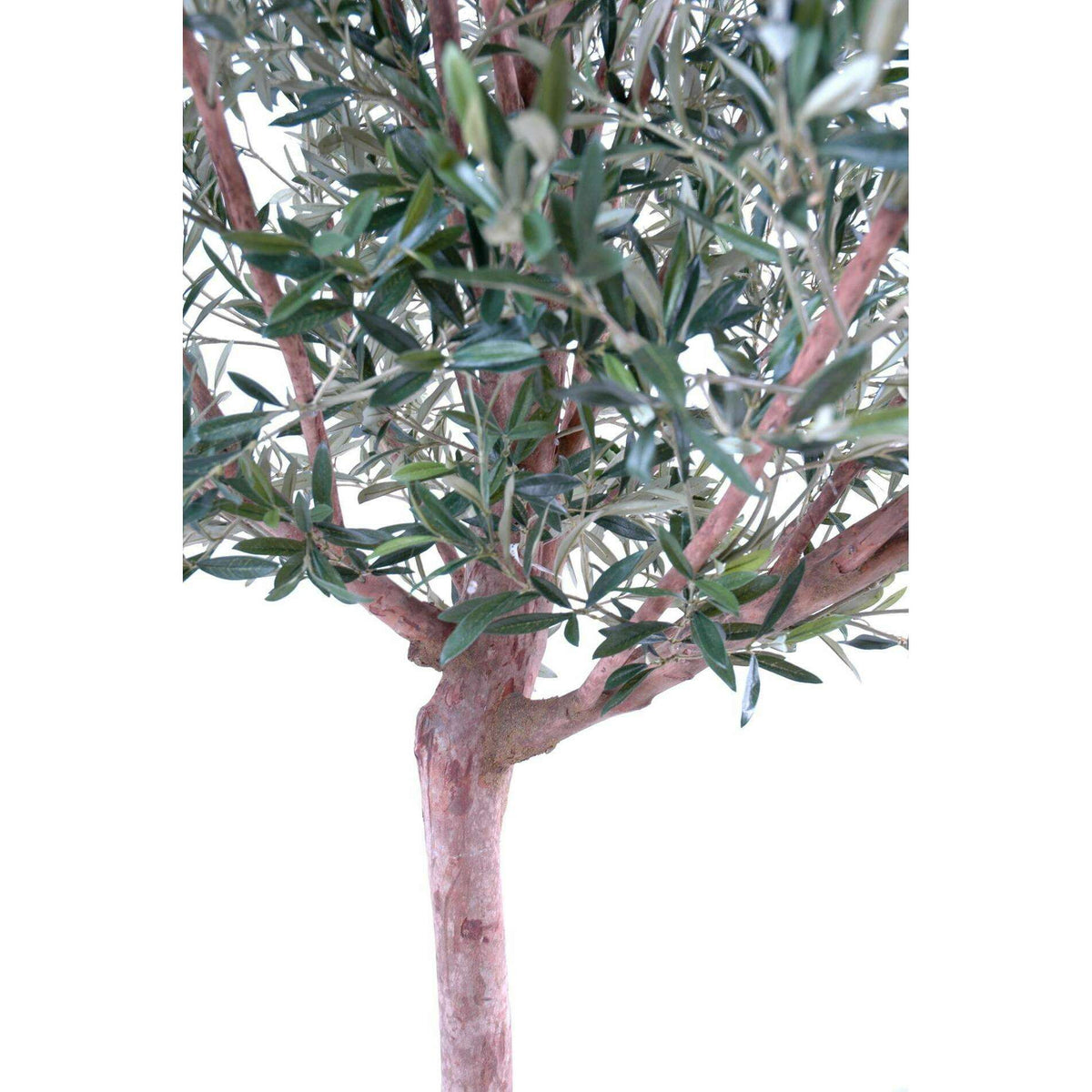 Arbre fruitier artificiel Olivier tête large et olives - plante pour intérieur - H.170cm