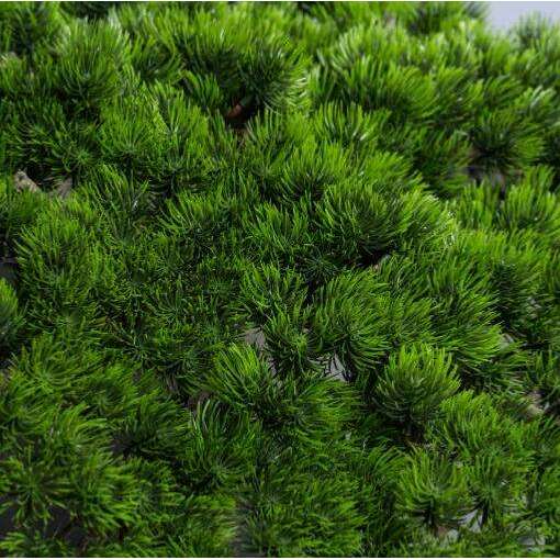Arbre japonais artificiel Pin nuage anti-UV - intérieur extérieur - H.135cm