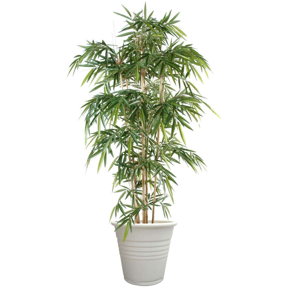 Bambou artificiel New UV résistant 6 cannes - extérieur balcon terrasse - H.150cm vert