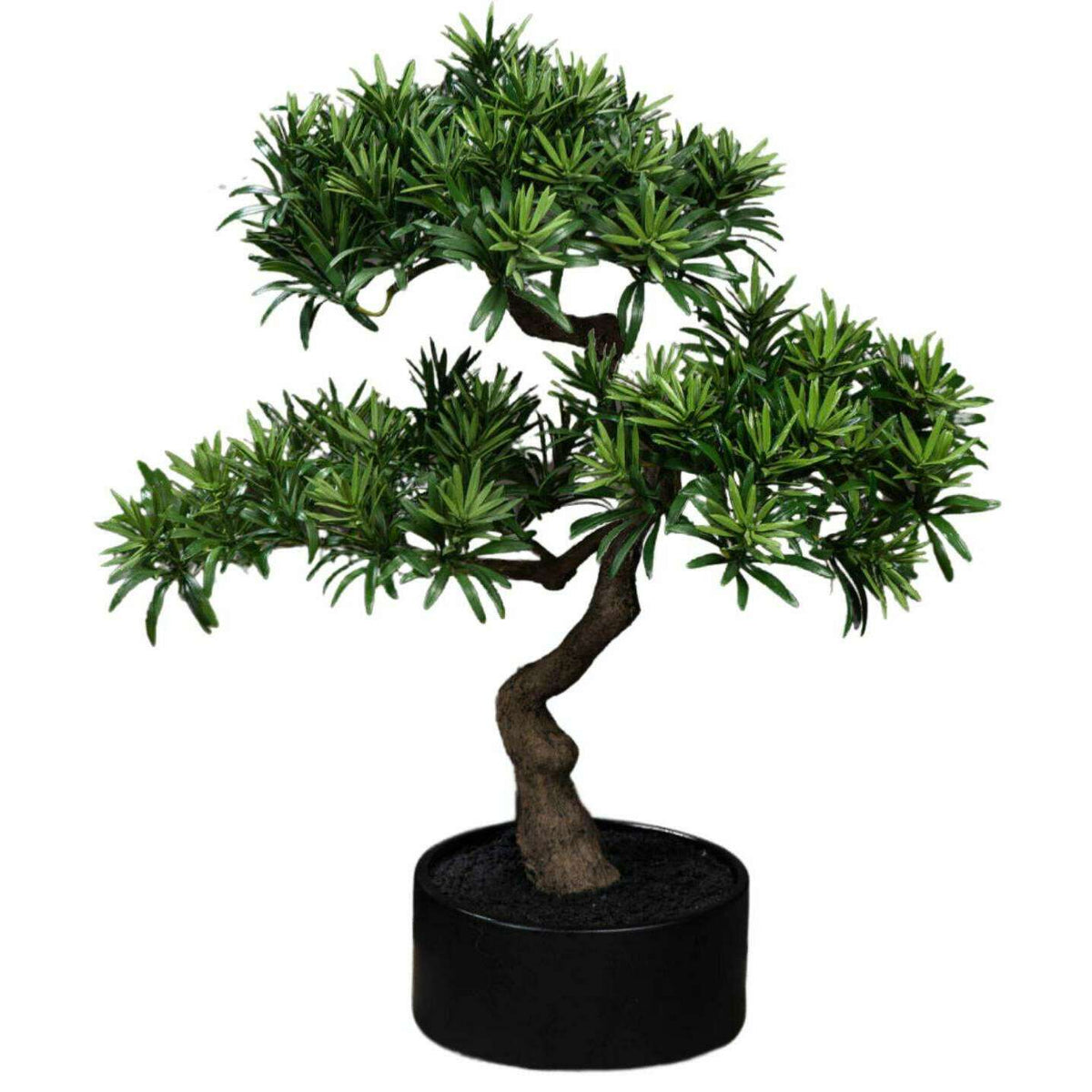 Bonsaï Podocarpus artificiel en pot - plante synthétique intérieur - H.50cm - S4