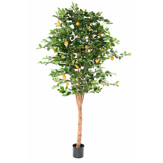 Arbre artificiel Citronnier Sunny - décoration intérieur -  H.235 cm – Vert et fruits jaunes