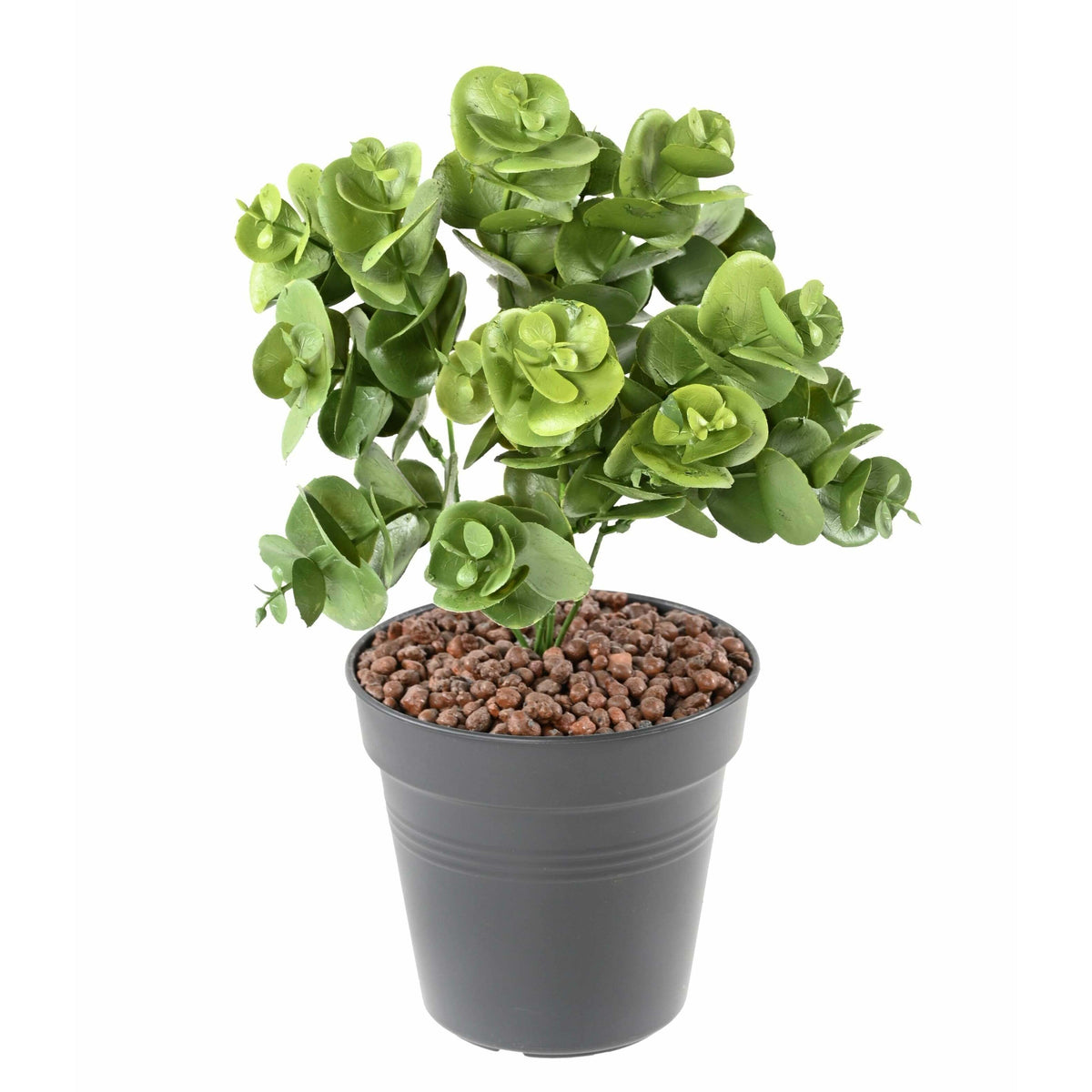 Plante artificielle Eucalyptus en piquet - décoration d'intérieur - H. 30 cm- Vert - E1