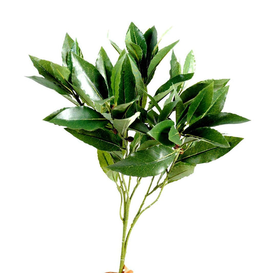 Feuillage artificiel branche de Laurier - décoration d'intérieur - H.50cm vert - I2