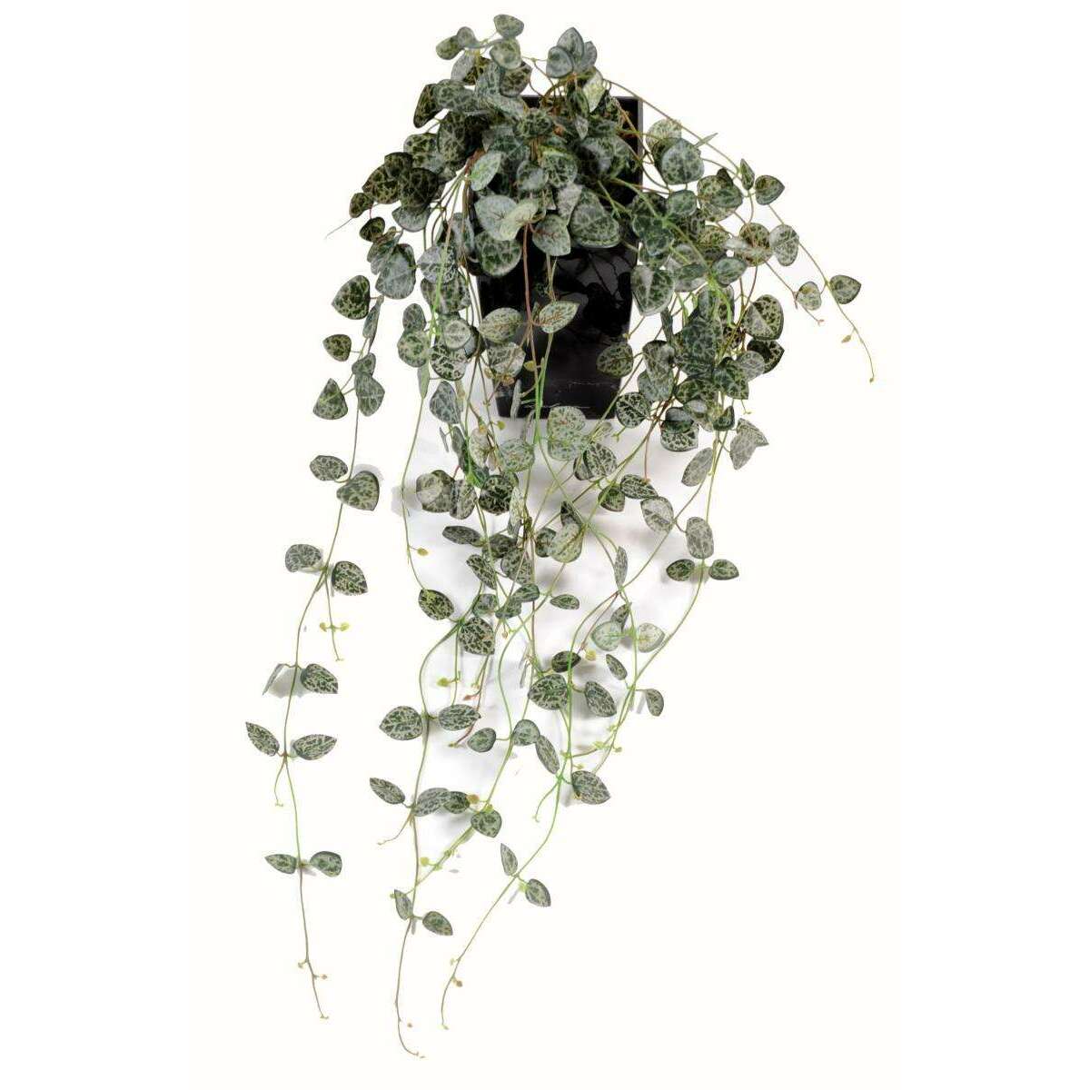 Feuillage artificiel chute de Ceropegia - Chaîne des cœurs pour intérieur - H.60cm - C4