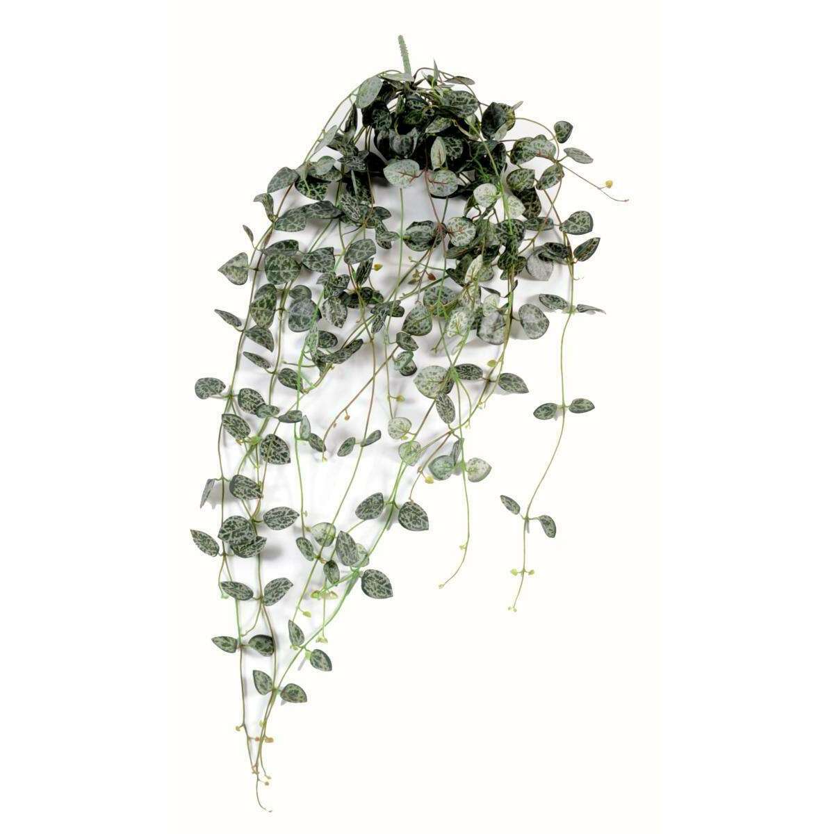 Feuillage artificiel chute de Ceropegia - Chaîne des cœurs pour intérieur - H.60cm - C4