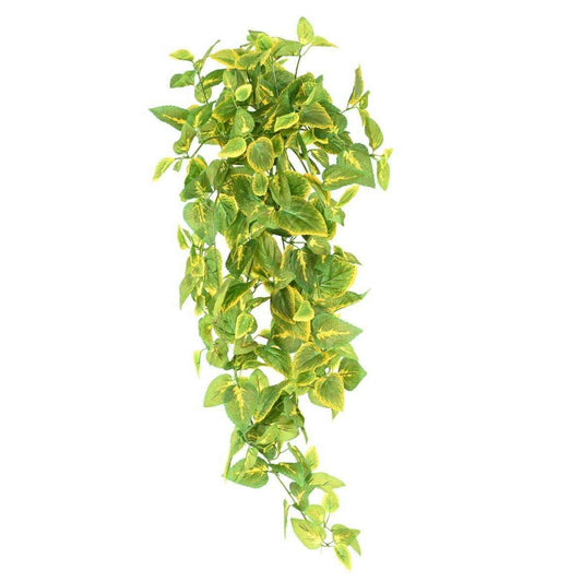 Feuillage artificiel chute de Coleus en piquet - plante verte intérieur - H.75cm - D2