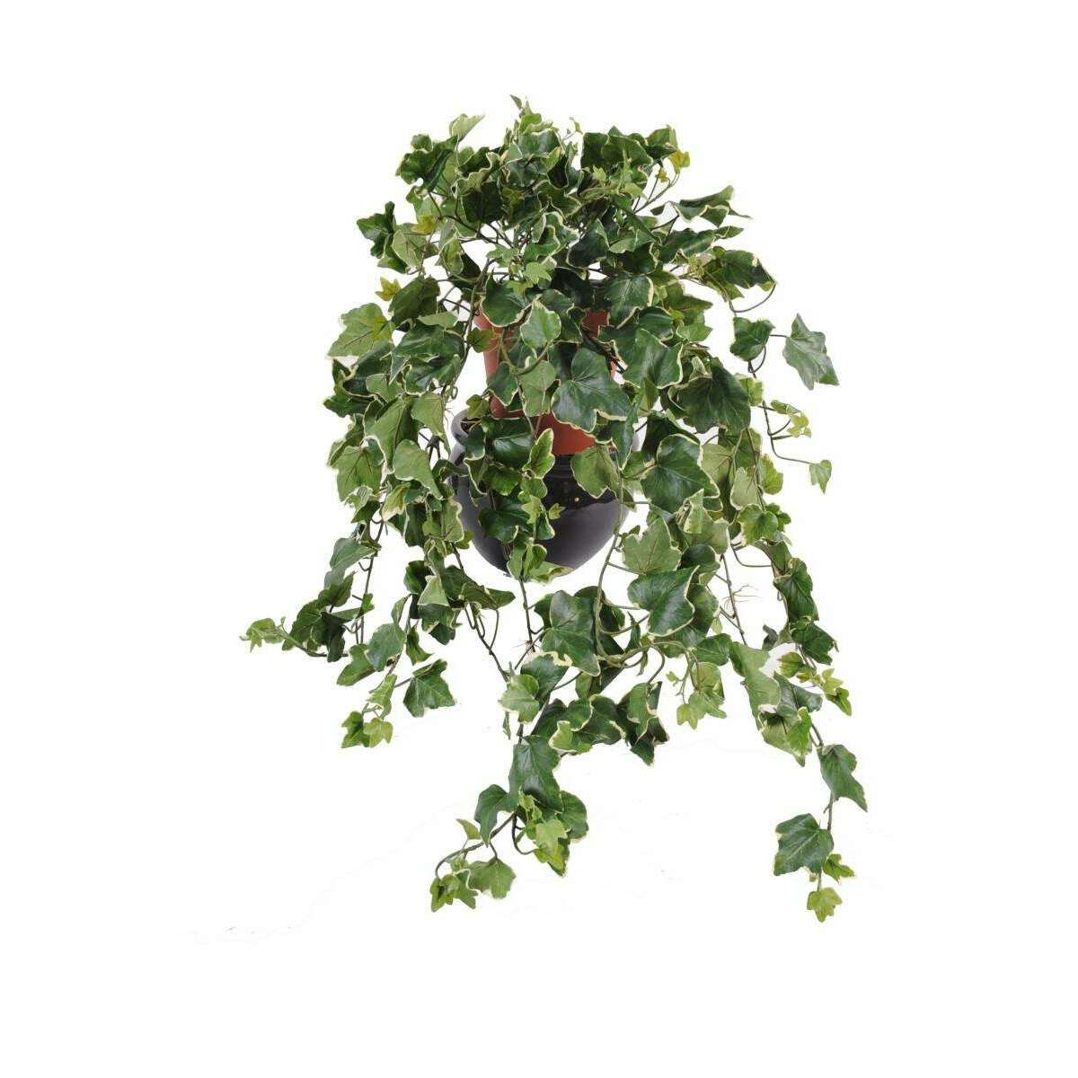 Feuillage artificiel chute de Lierre Gala en piquet - 323 feuilles - H.75cm vert blanc - I1