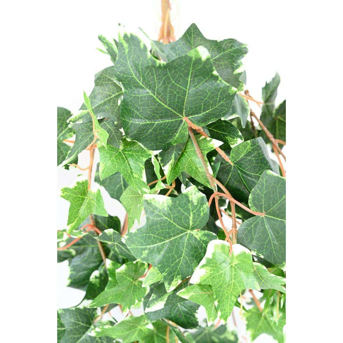 Feuillage artificiel chute de Lierre Hollandais - 118 feuilles artificielles - H.60cm vert blanc - I4