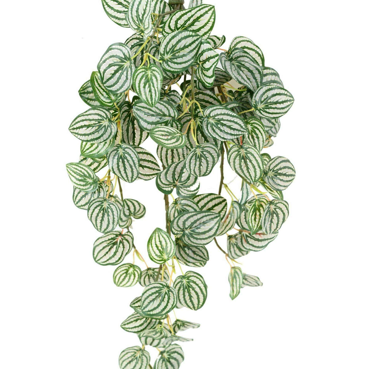 Feuillage artificiel chute de Peperomia - plante retombante - H.70cm panaché K4