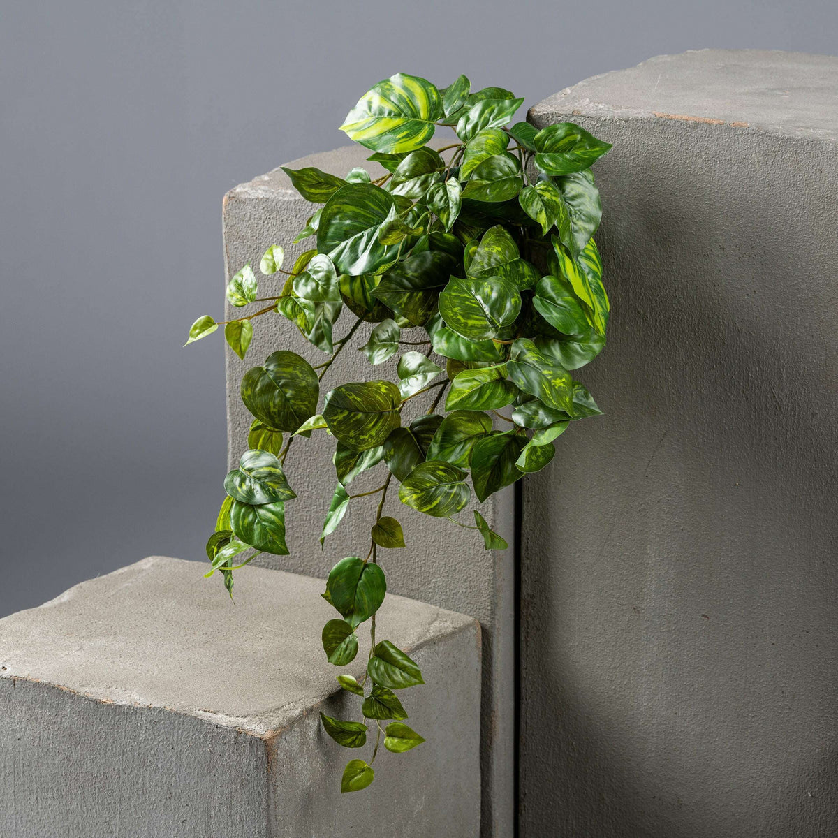 Feuillage artificiel chute de Pothos en piquet - plante d'intérieur - H.60cm panaché S2
