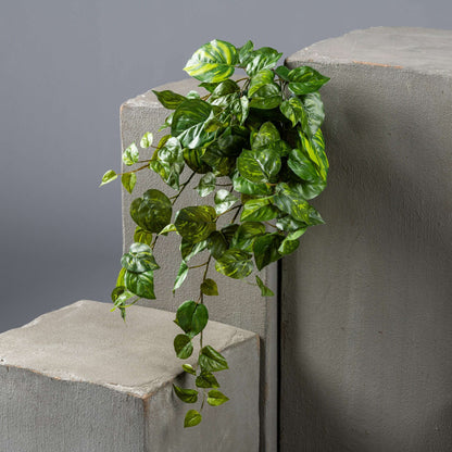 Feuillage artificiel chute de Pothos en piquet - plante d'intérieur - H.60cm panaché S2