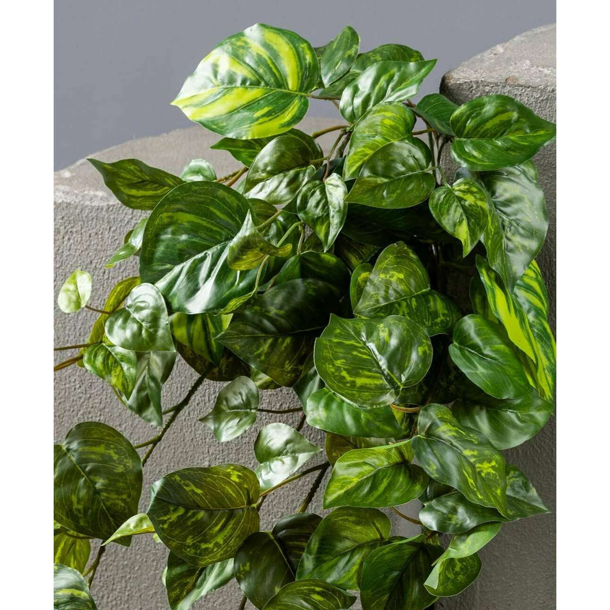 Feuillage artificiel chute de Pothos en piquet - plante d'intérieur - H.60cm panaché S2