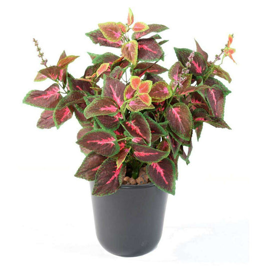 Feuillage artificiel Coleus en piquet - plante verte intérieur - H.40cm vert rouge - D2