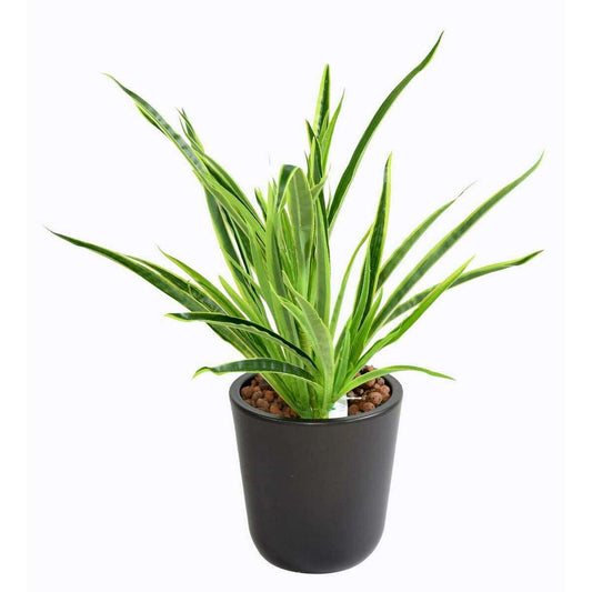 Feuillage artificiel Dracaena 4 touffes - plante en piquet - H.40cm vert 2 tons E4