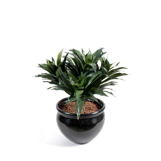 Feuillage artificiel Dracaena Fragans - plante en piquet - H.53cm vert E4