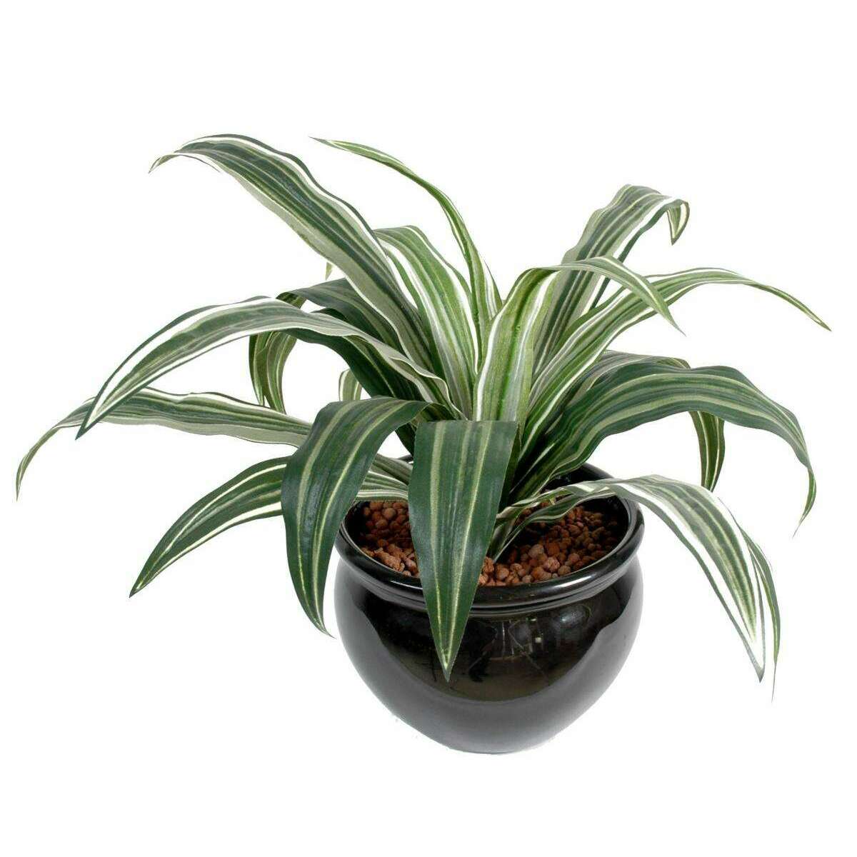 Feuillage artificiel Dracaena Warneki - plante en piquet - H.35cm vert blanc E5
