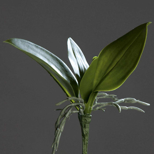 Feuillage artificiel Feuilles d'orchidée - plante en piquet - H.21cm vert - Q2