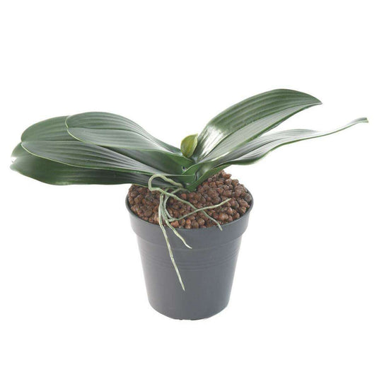 Feuillage artificiel piquet Feuilles d'orchidée et racine H.17cm vert - K3