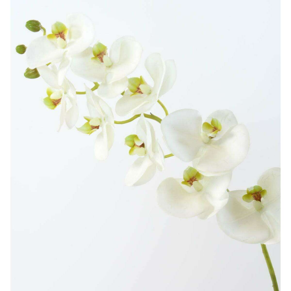 Fleur à la tige Orchidée artificielle Phalaenopsis - haute qualité - H.77 cm - K3