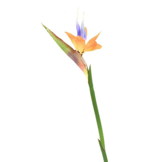 Fleur à la tige Strelitzia artificiel - décoration intérieure - H.80cm orange - M1
