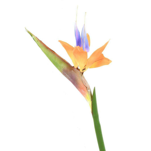 Fleur à la tige Strelitzia artificiel - décoration intérieure - H.80cm orange - M1